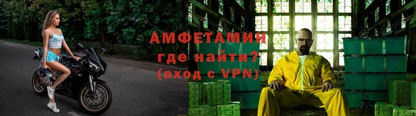 индика Новодвинск