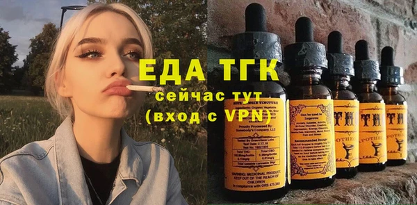 индика Новодвинск
