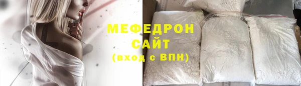 индика Новодвинск