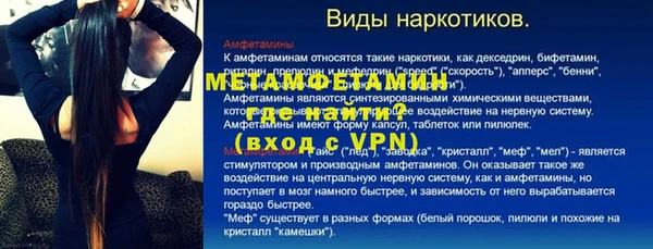 ПСИЛОЦИБИНОВЫЕ ГРИБЫ Новозыбков