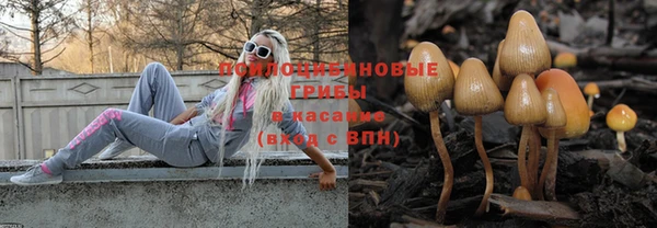 мескалин Новокубанск