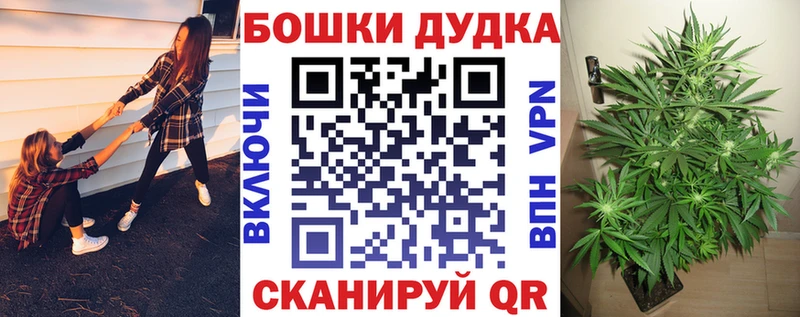 дарк нет официальный сайт  сколько стоит  Шенкурск  Бошки Шишки White Widow 
